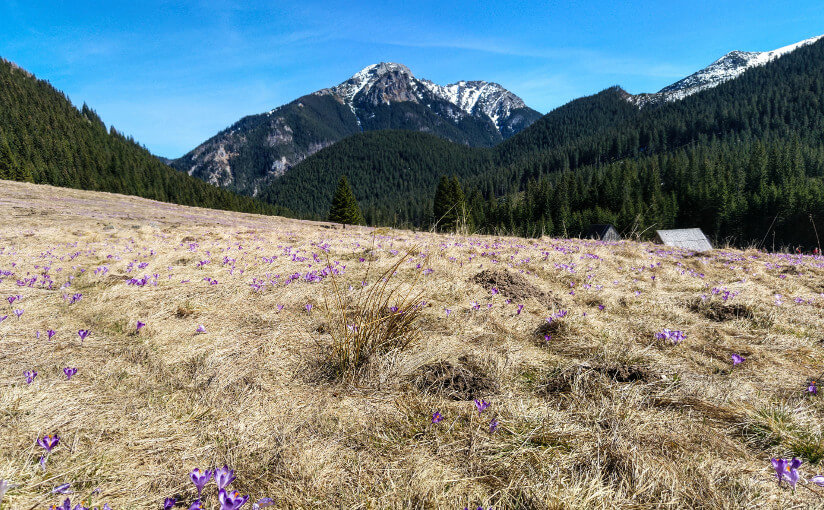 Dolina Chochołowska 02.04.2016