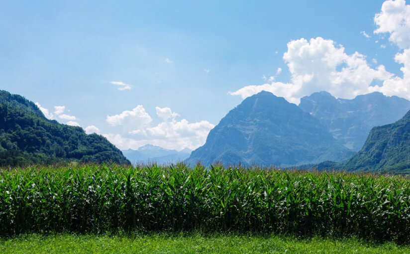 Rowery | Szwajcaria | Austria | Liechtenstein | Niemcy | 28.07.2018 - 05.08.2018