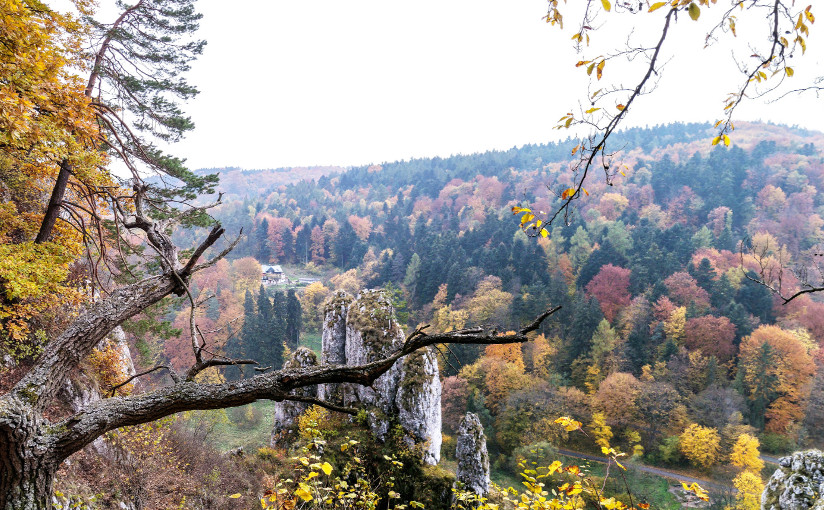 Ojcowski Park Narodowy - 25.10.2015